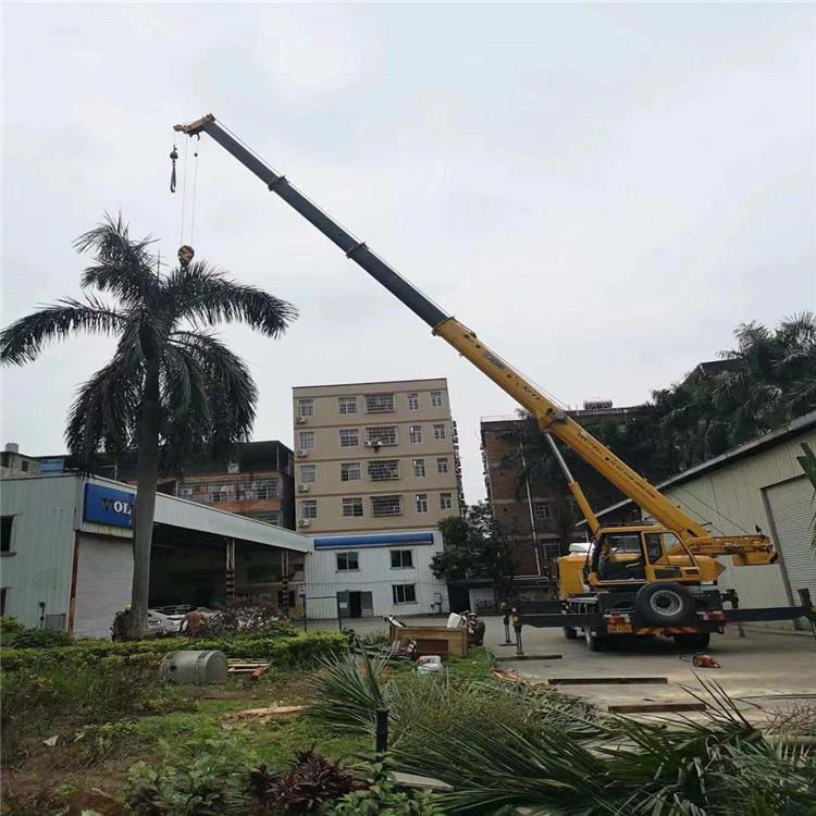 巴州汽车吊出租多少钱？全面解析与市场行情